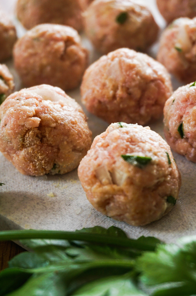 Feel-Good Turkey Meatball Soup 