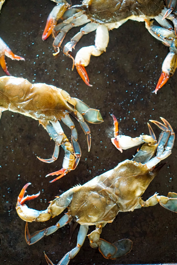 Crispy Soft Shell Crab Sandwich