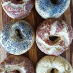 New York-Style Bagels