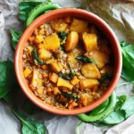 Curried Butternut Squash & Lentil Stew