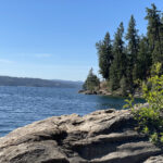 Sway: Chapter 5
